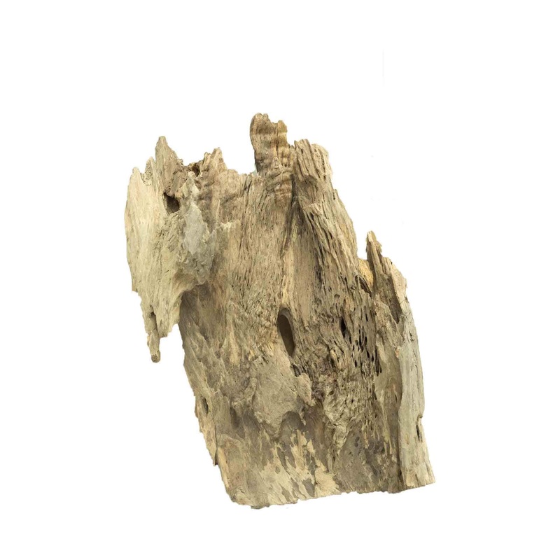 Dalua Dragon Wood Large – In Store Pick Up Only