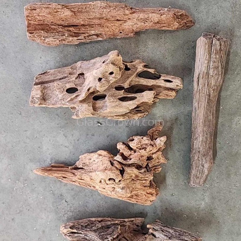 Malaysian Driftwood Medium (7-12″)