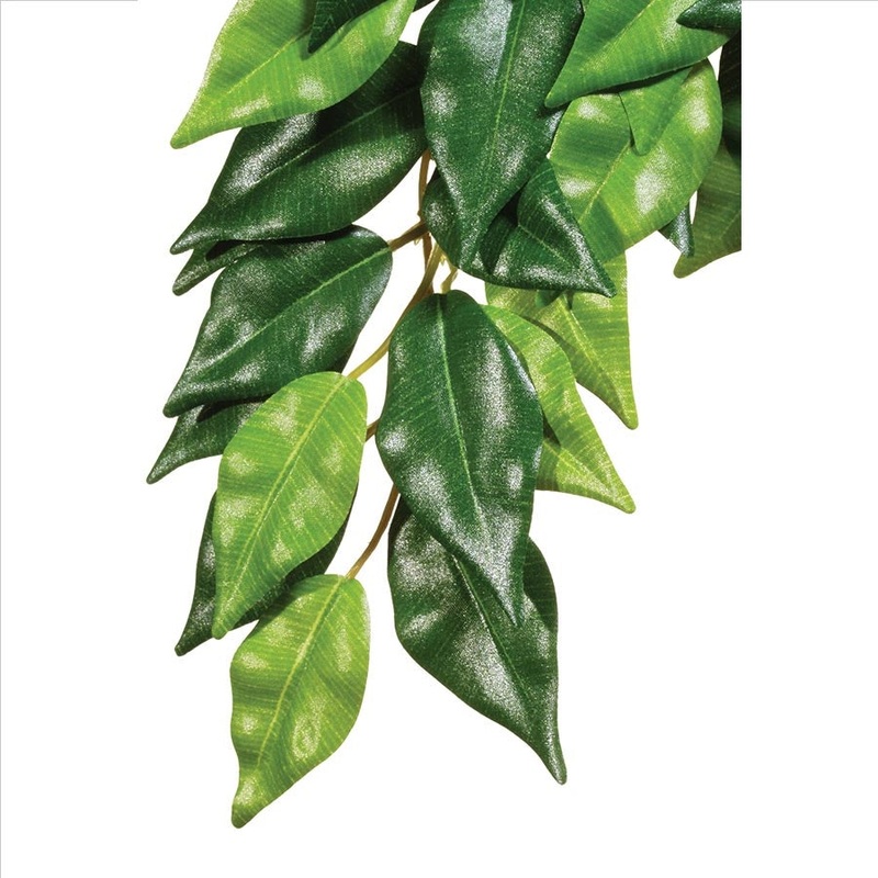 Exo Terra Forest Plant – Ficus – Small Artificial Plant
