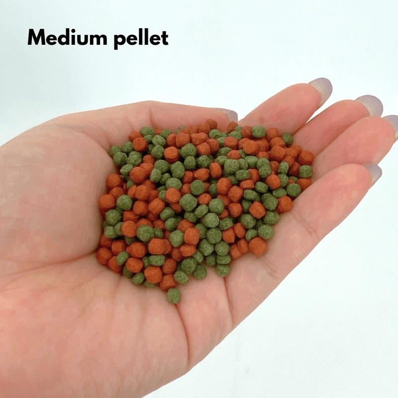 ANS Fish Feed (MIX COLOURED) small/medium 1000g Small pellet 1000g