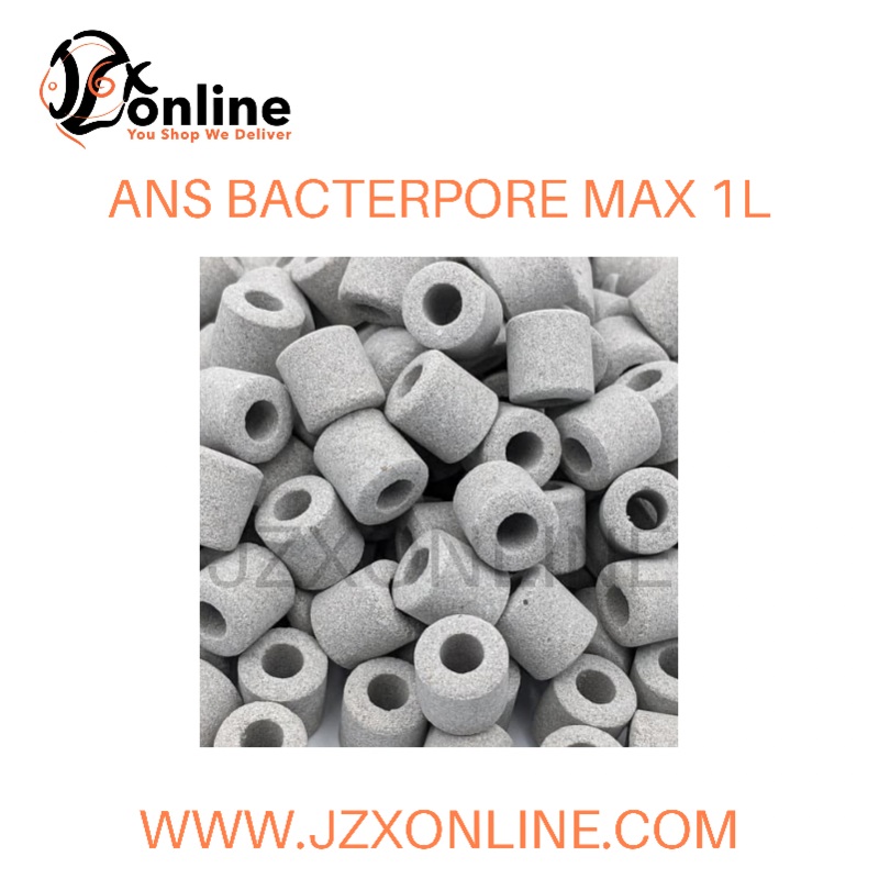 ANS BacterPore Max 1L