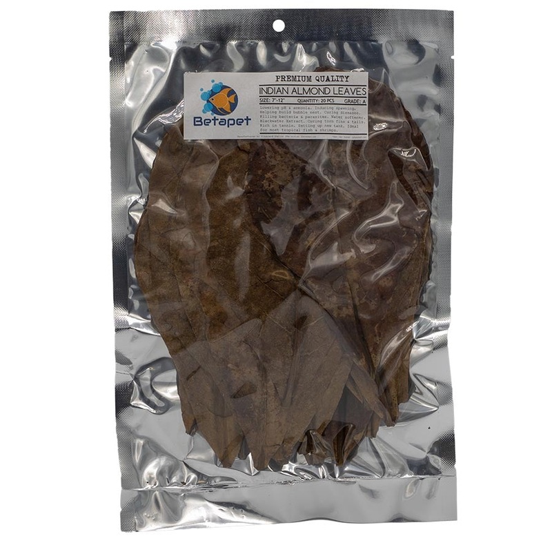 Betapet 20 Medium Indian Almond Leaves- A Grade 17cm – 30cm IAL