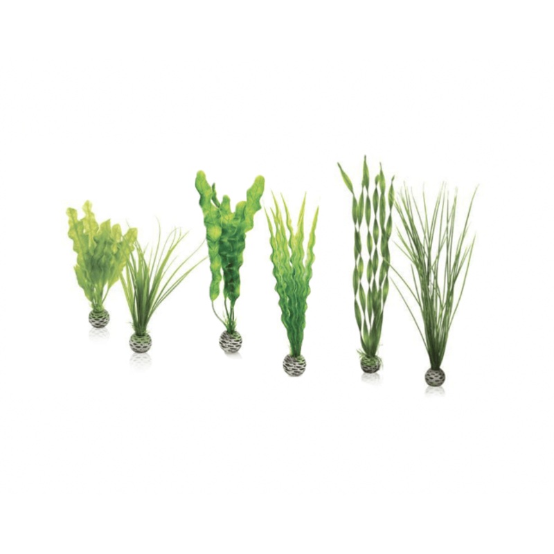 biOrb Easy Plant Set Green S