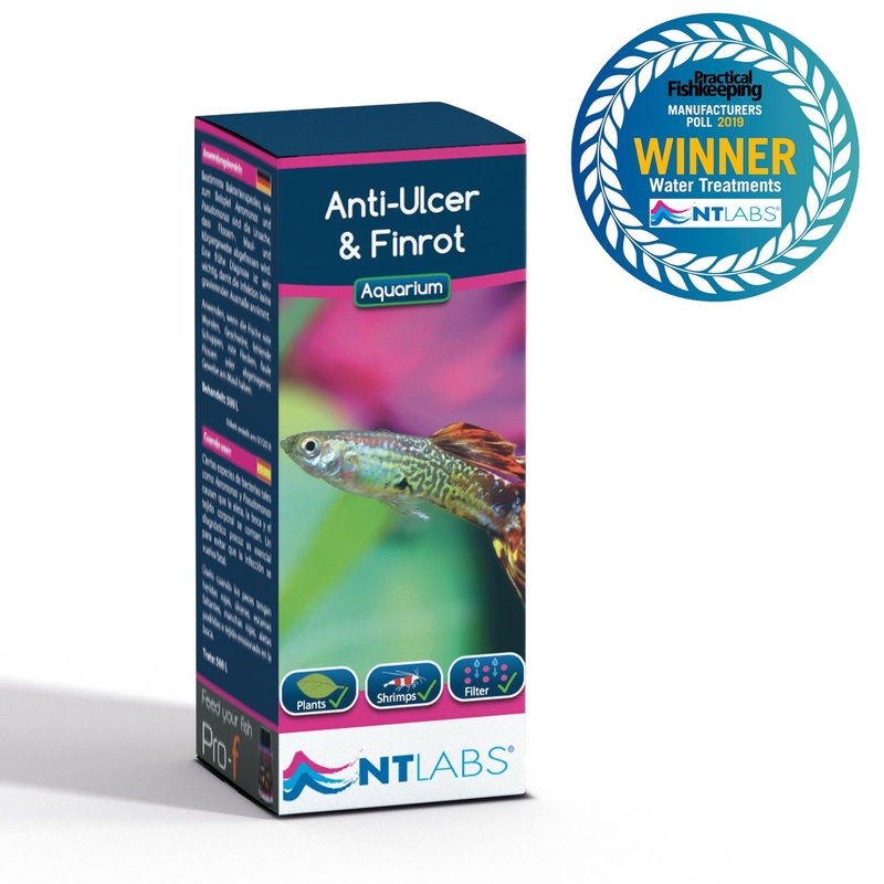NT LABS Aquarium Anti-Ulcer & Finrot (treat bacteria infection) 100ml