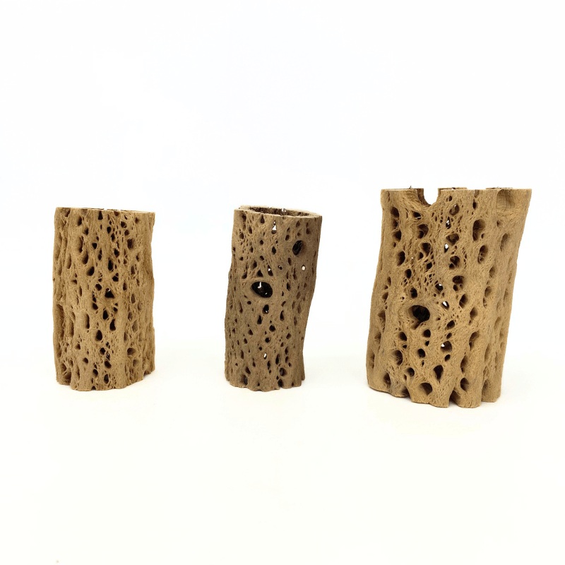 ANS Cholla Tunnel Tubes Single S/M (driftwood) Small (10cm)