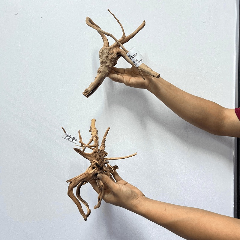 ANS Branchy Driftwood M (26-35cm)