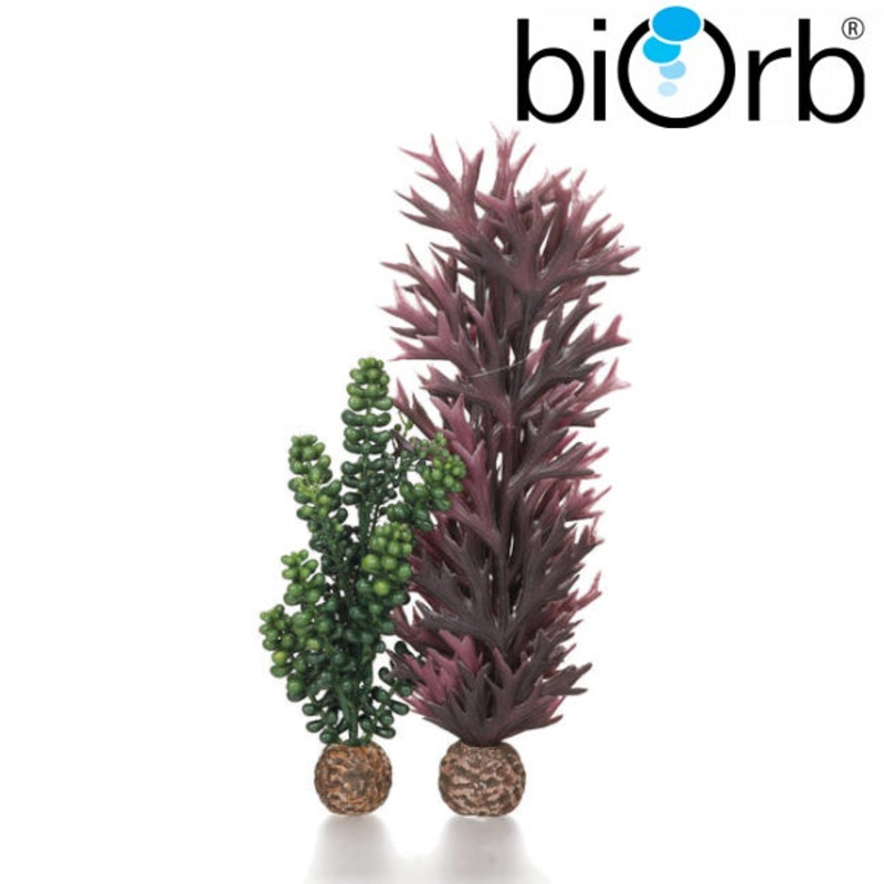 BiOrb Seapearls & Kelp Olive Green Pk of 2 55073