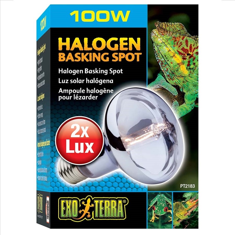 Exo Terra Halogen Basking Spot Lamp – 100 Watt