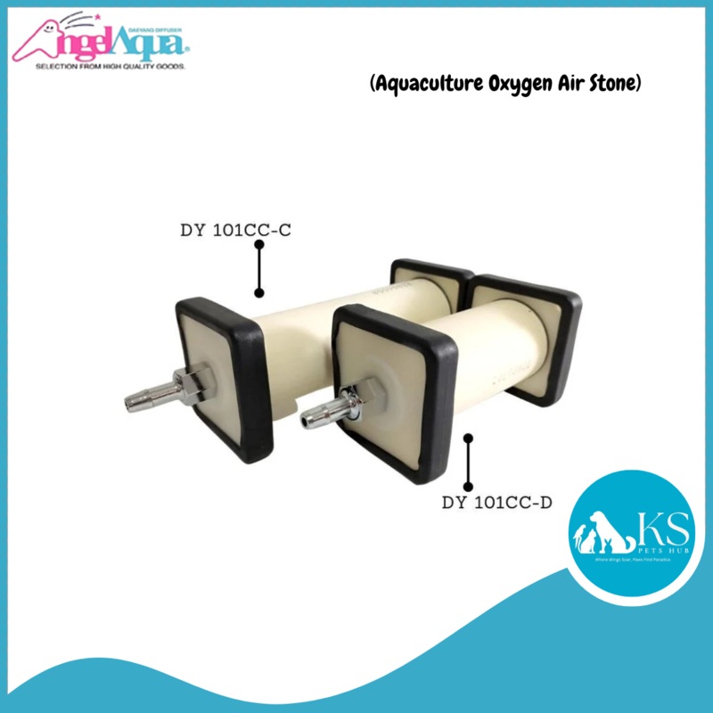 ANGEL AQUA (Aquaculture Oxygen Air Stone) Fish & Aquatic DY 101CC-C