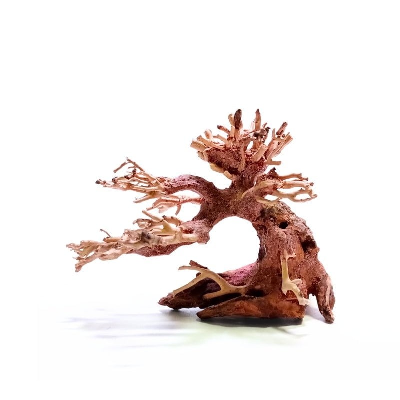 ANS Bonsai Tree 17 (SSS / SS / MS / L/ XXL) Bonsai Tree 17 – SSS (15 x 10 x 8cm)