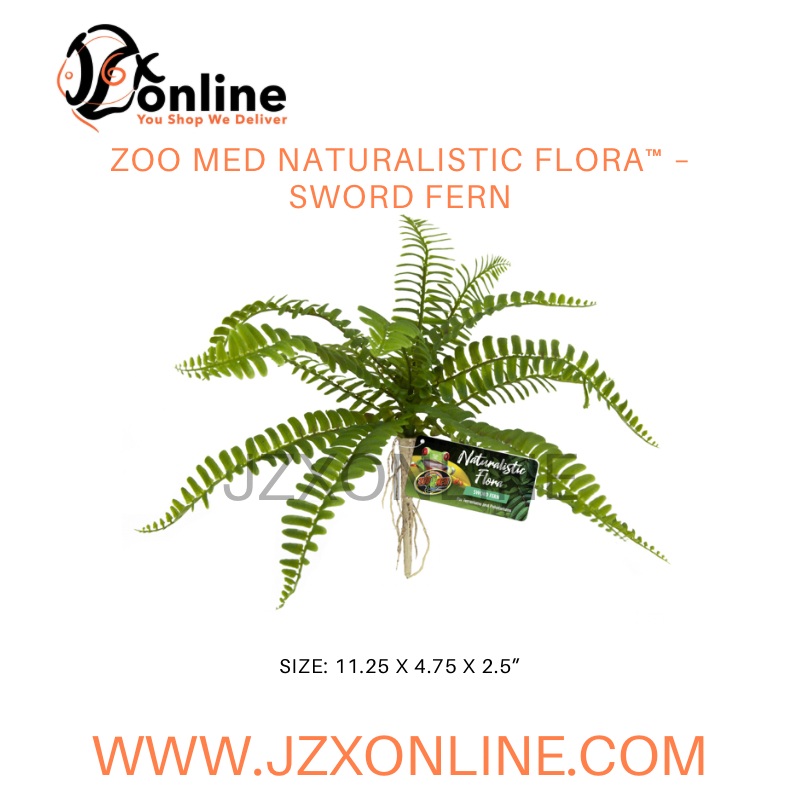 ZOO MED Naturalistic Flora  Sword Fern