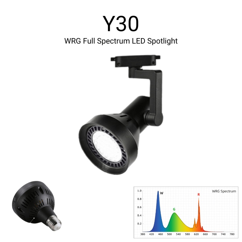 Week aqua Y30 LED Spotlight Black Y30SE-B-K (Bulb + body lamp)