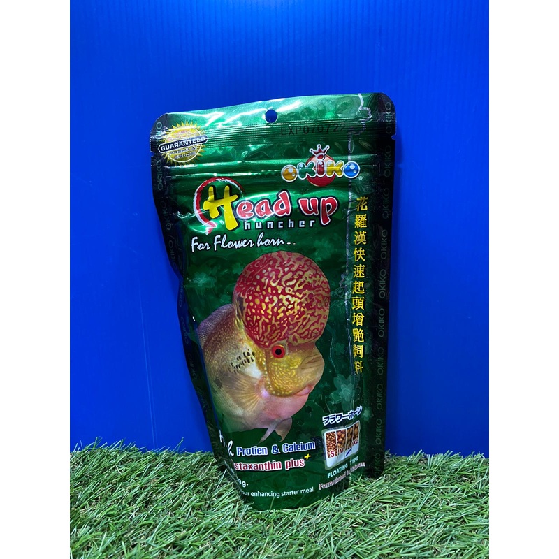 `KIKO Head Up Flowerhorn