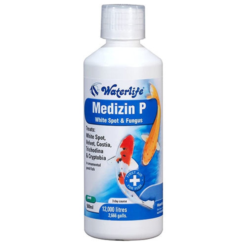 Waterlife Medizin P 1L