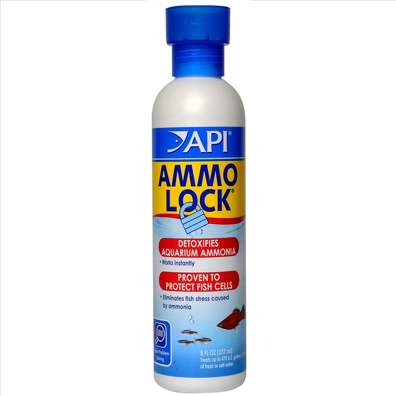 API Ammo Lock 237ml – Detoxifies Ammonia