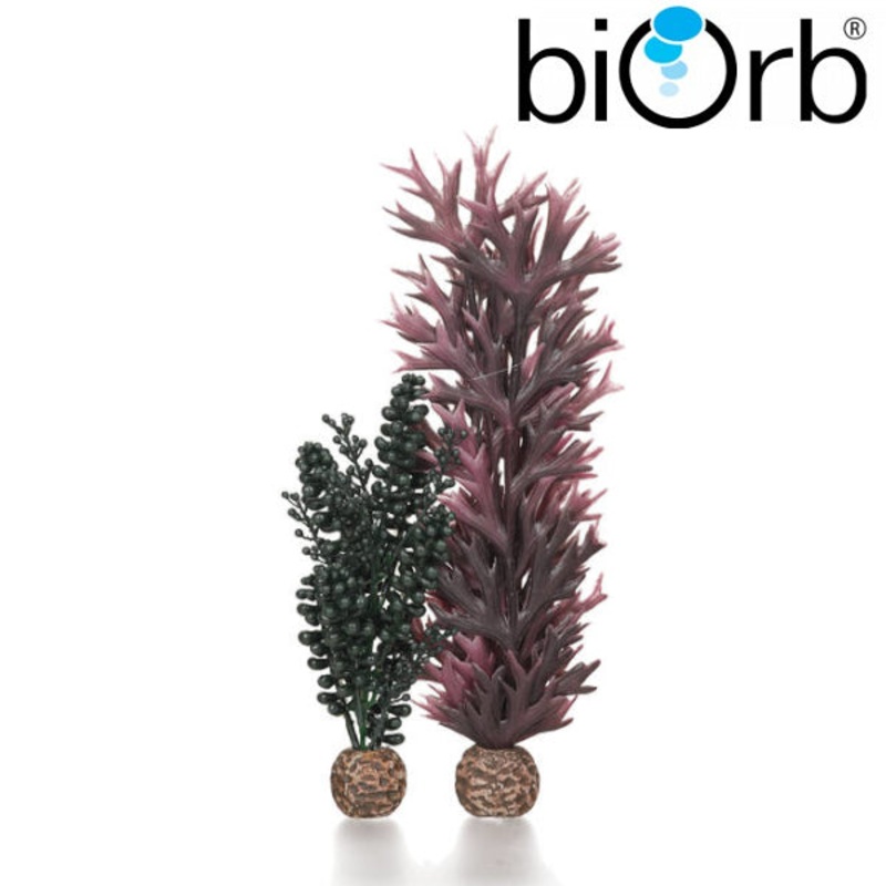 BiOrb Seapearls & Kelp Dark Green Pk of 2 55074