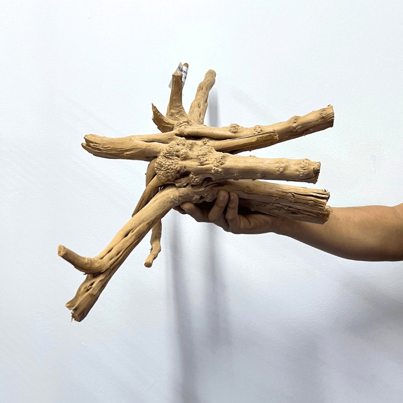 ANS Branchy Driftwood  XL (46-55cm)
