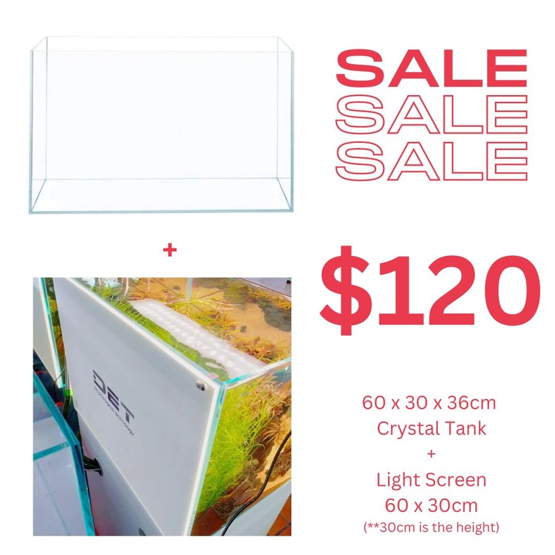 ANS Opti Tank (Crystal Glass) + Light Screen 60 x 30 x 36cm