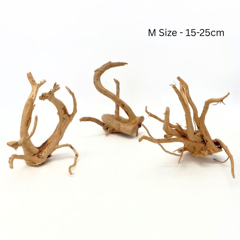 ANS Spider Wood Deco (Various size) XXS – 7-12cm