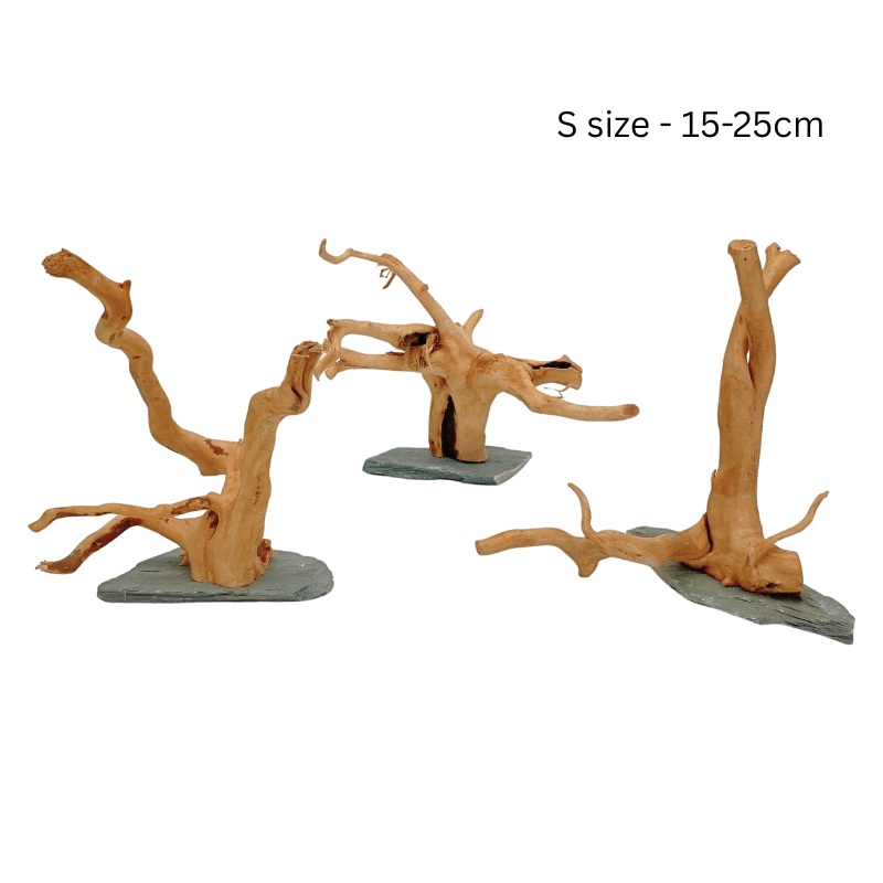 ANS Spider Wood Sculpture (S,M,L) Small (15-25cm)