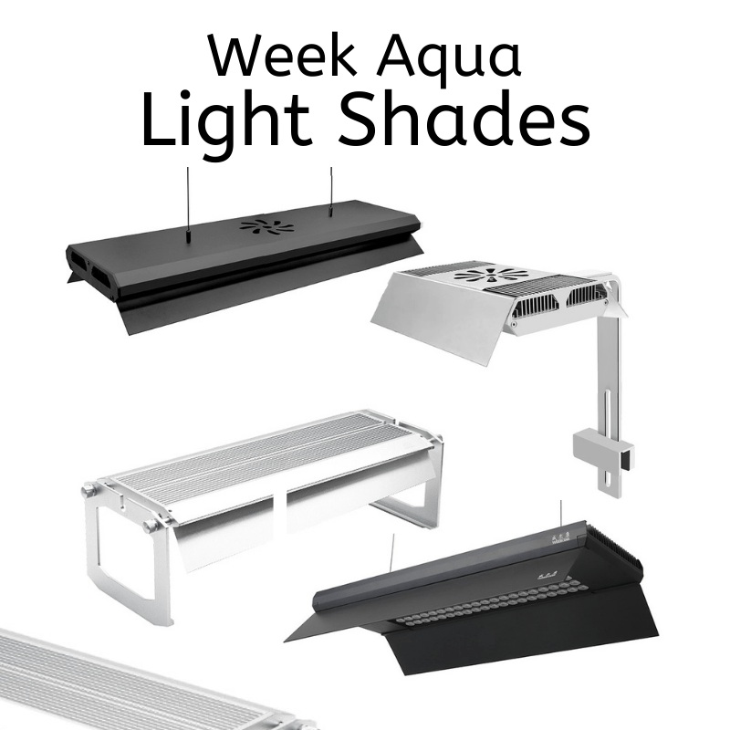 Week Aqua – Light Shades (L/M/P/Z – Series) P – Series 60cm