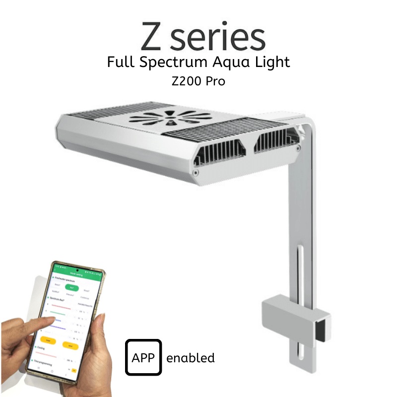 Week Aqua Z200 WRGB Pro light No Shade