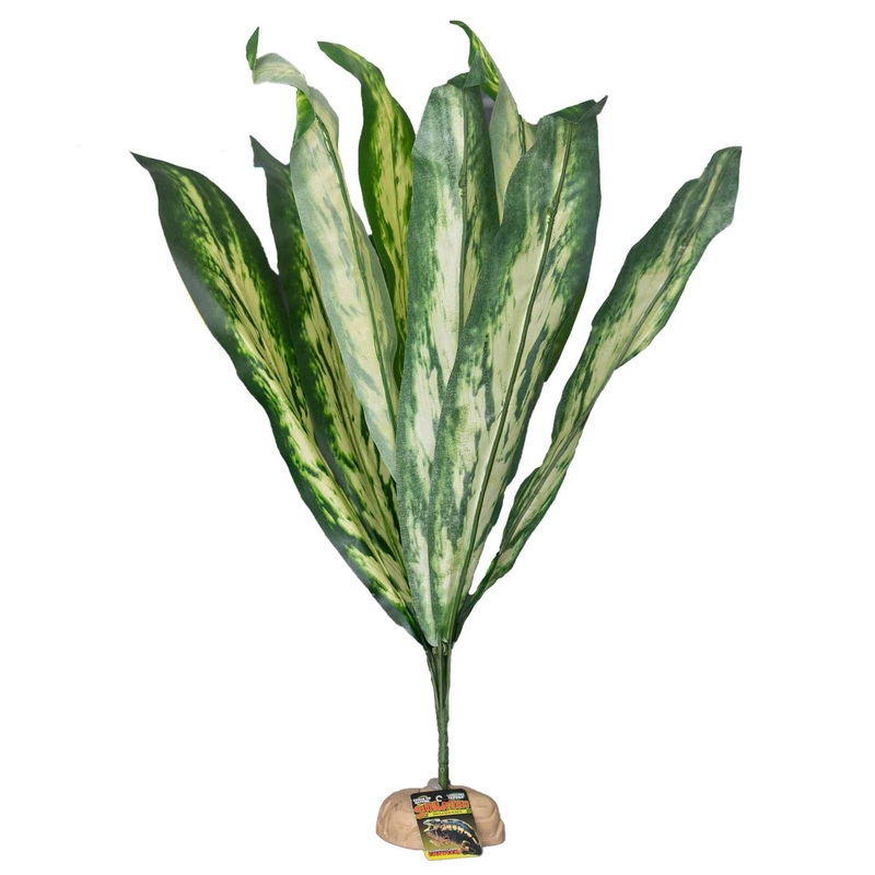 Fish Organics Tall Palm Leaf