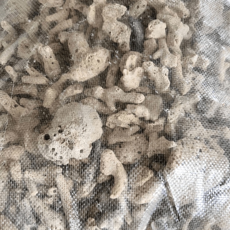 ANS Coral Chip Medium 1kg/3kg/15kg 1kg with net