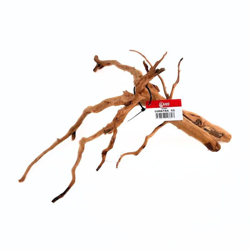 ANS Sumatra Driftwood (various size) XS 10-15cm
