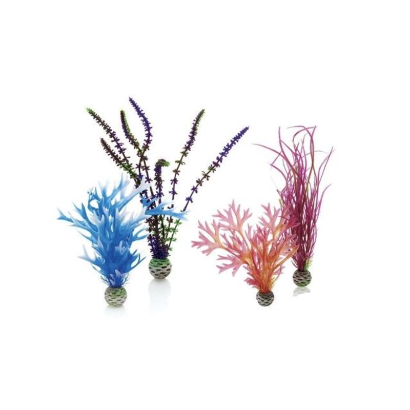 biOrb Plant Set M (Blue & Purple)