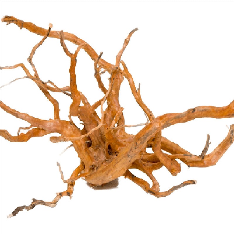 Aqua Natural Gold Vine Medium 30-40cm – In Store Only