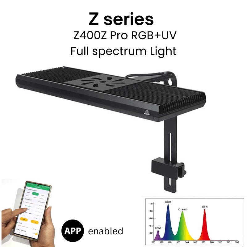 Week Aqua Z400Z Pro light (Standard Style) (stand included) Without Shade
