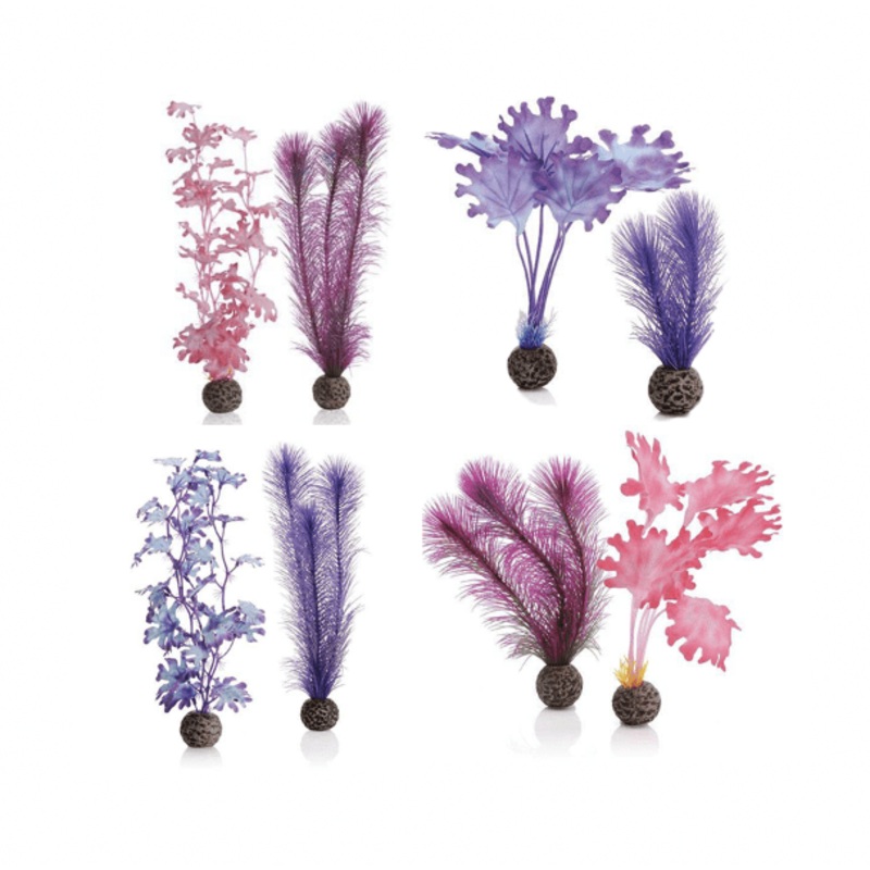 biOrb Kelp Set S Pink