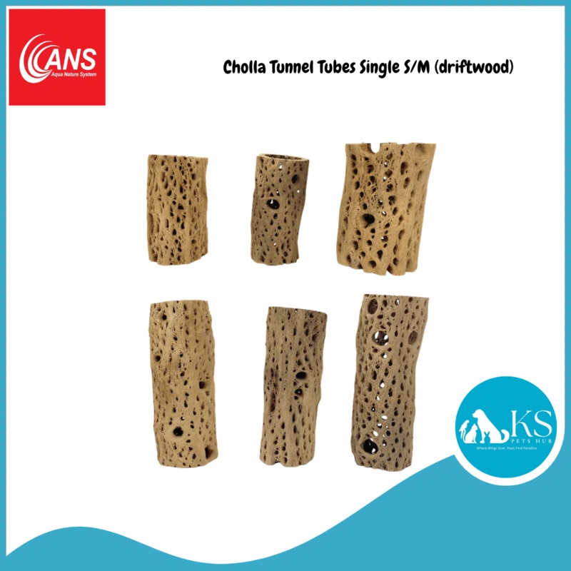 ANS Cholla Tunnel Tubes Single S/M (driftwood) Fish & Aquatic Single Small (10cm)