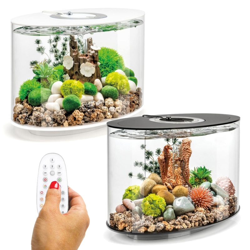 BiOrb Loop 15L Aquarium MCR LED Lighting Black / White White