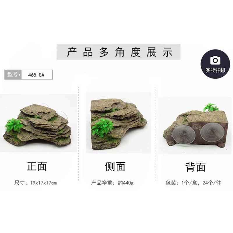 Zhen De Decoration – Turtle Platform w/ Suction Cup – 465SA
