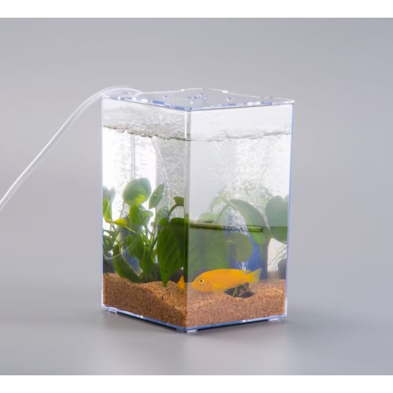 ANS Betta Competition Display Tank 13x12x19cm