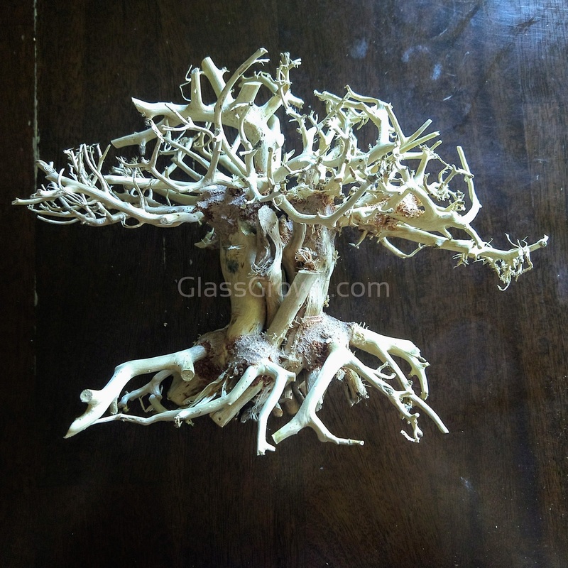 Yosemite Bonsai Wood Nano Size 6″