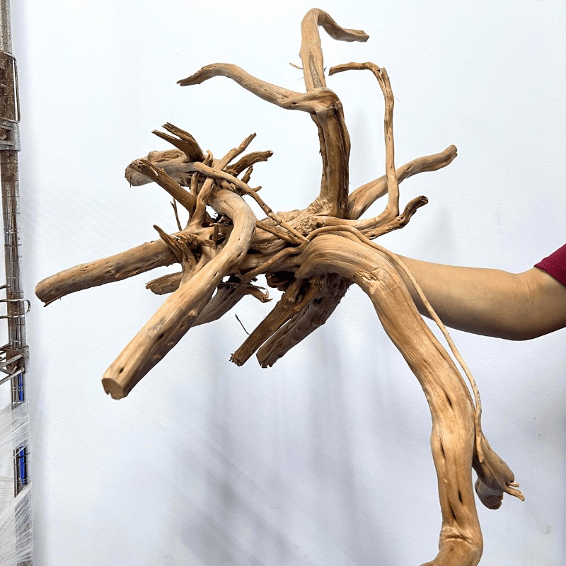 ANS Branchy Driftwood  XXL (56-70cm)