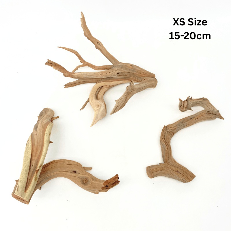 ANS Ghostwood Driftwood (Rare!) XS (15-20cm)