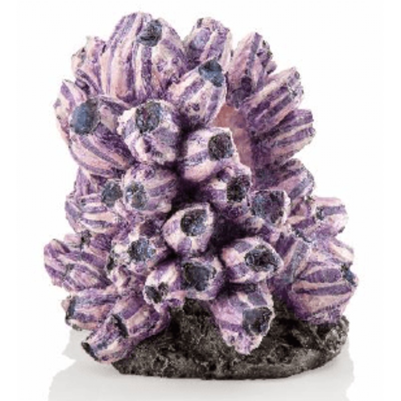 biOrb barnacle cluster ornament