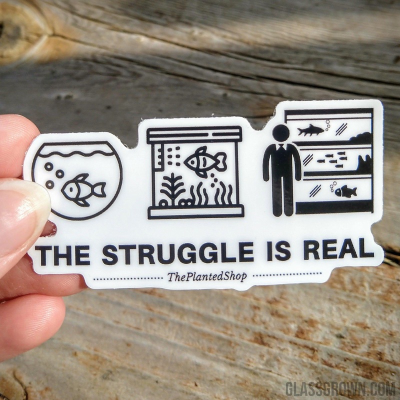 Fish Tank Struggles Decal Sticker