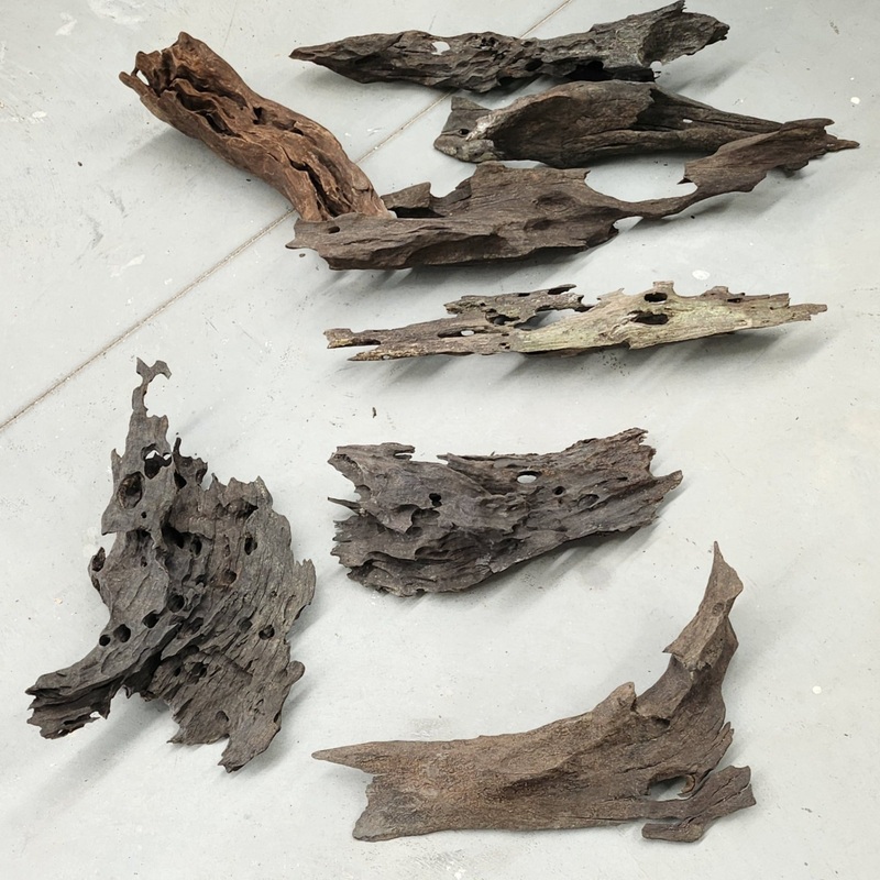 Genuine Drift Wood Large – in store pick up only