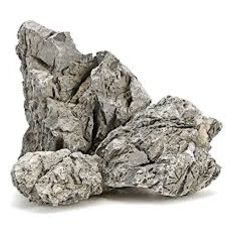 Turtle Vein Rocks 100gm