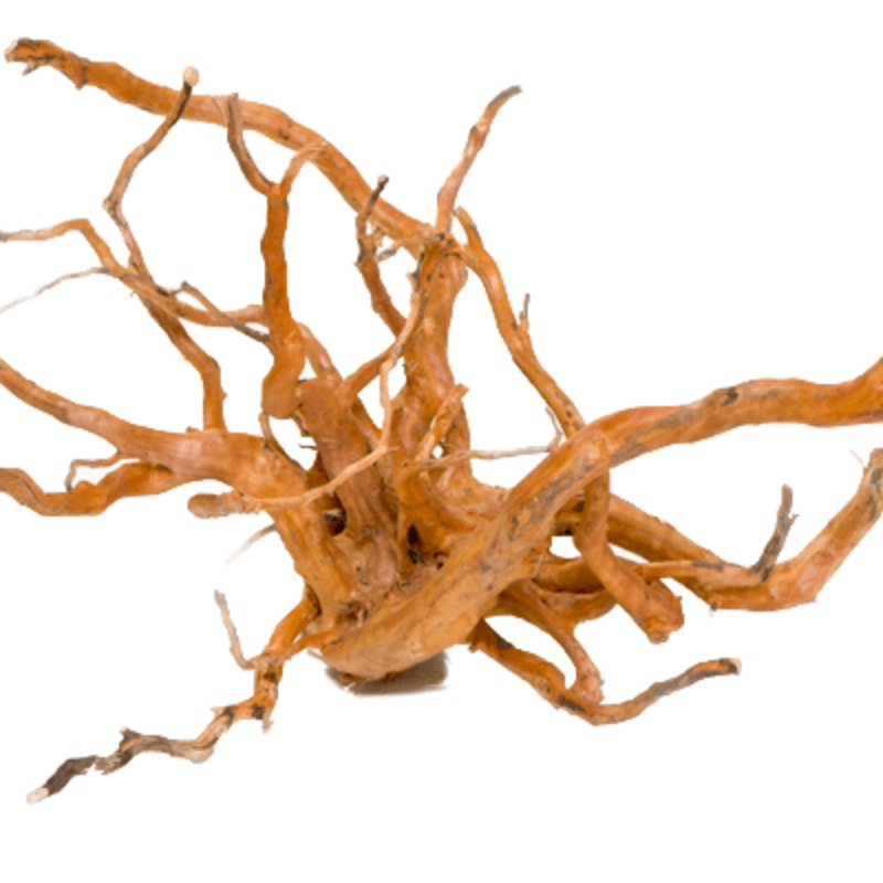 Aqua Premium Gold Vine Medium 30-40cm – in store pick up only
