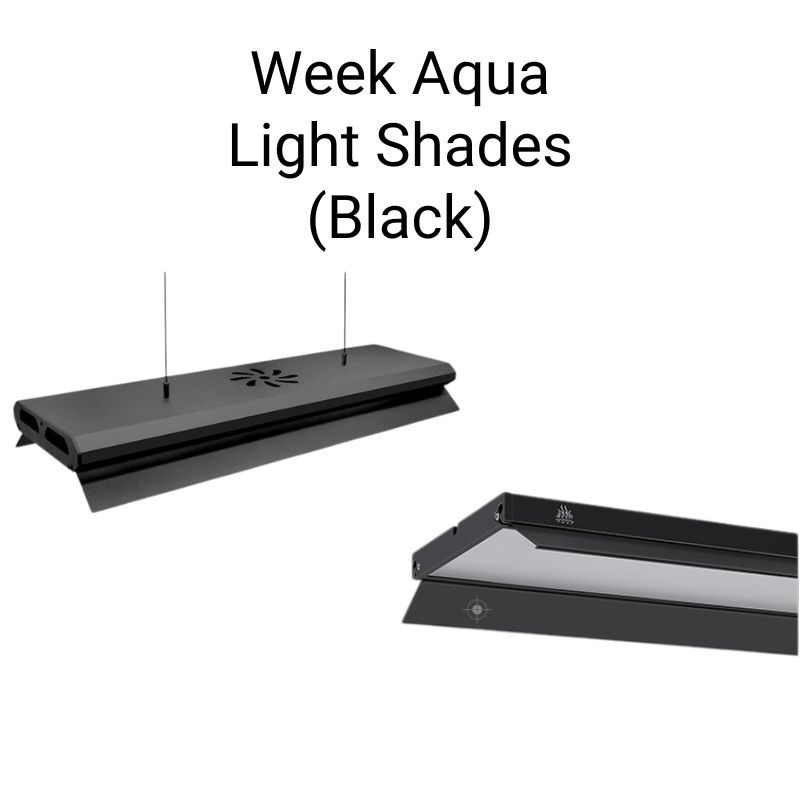 Week Aqua – Light Shades Black (V/M/L/P – Series) (1 pair/box) Light shade black (V/M/L/P Series) 60cm