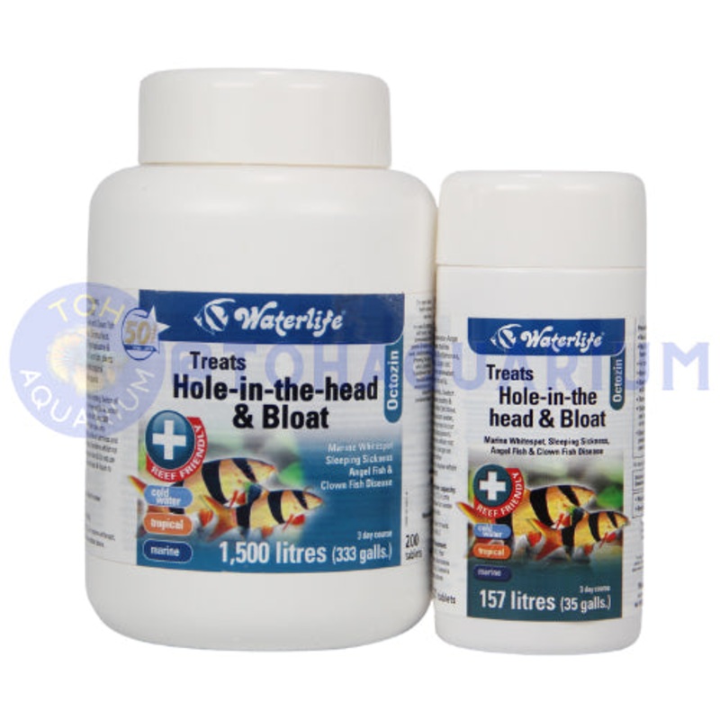 Waterlife Octozin (Options Available) 200 Tabs